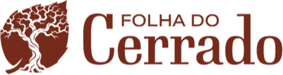 Seu Portal de Notícias
